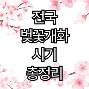 벚꽃 2026 전국 벚꽃개화시기 총정리